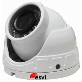 Купольная 2MP видеокамера EVL-SS10-H20G