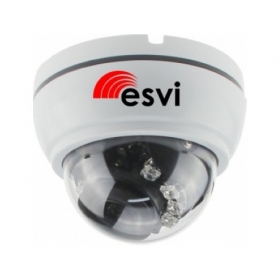 IP видеокамера купольная EVC-NK20-SL20-P/C/A (BV)